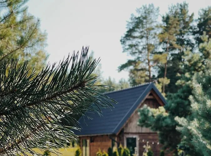 Sosnowe Prázdninový dům *