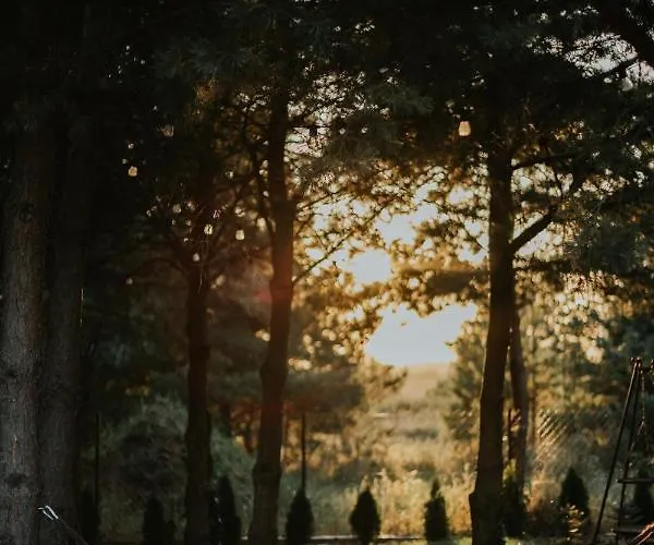 Prázdninový dům Sosnowe Warpuny